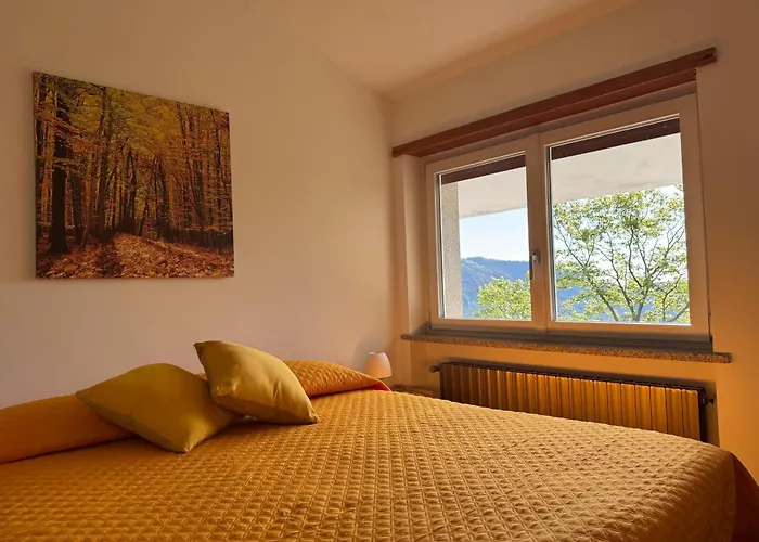 Gold Cave Casa Vacanze Relax Nel Bosco Appartamenti