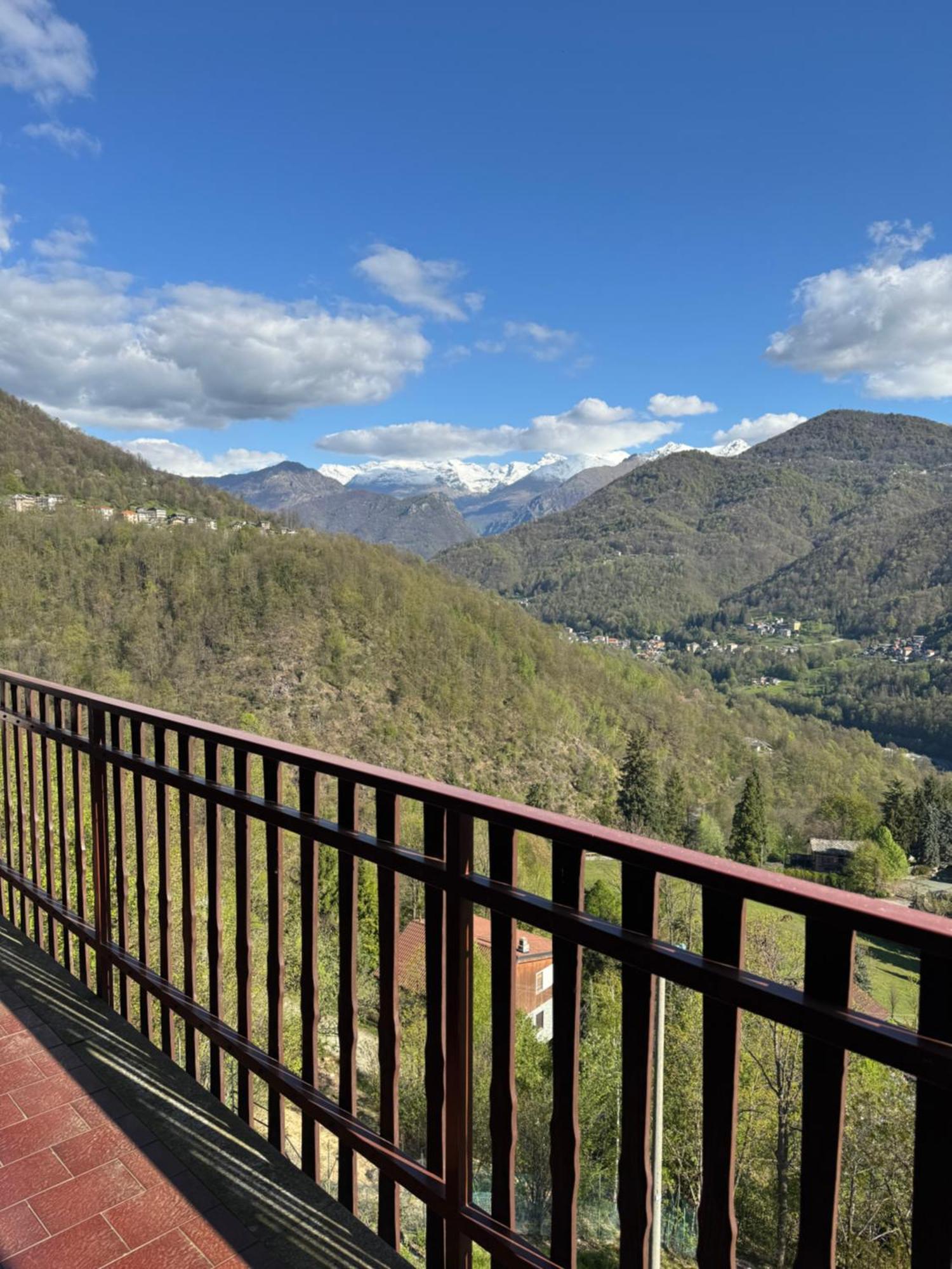 Gold Cave Relax Nel Bosco