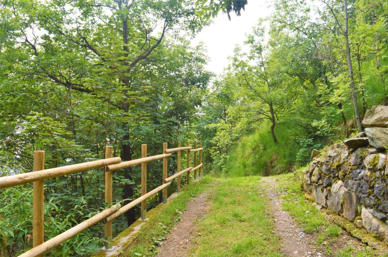 Gold Cave Relax Nel Bosco Pessinetto