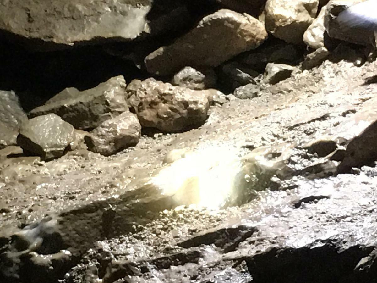 Holiday home Gold Cave Relax Nel Bosco