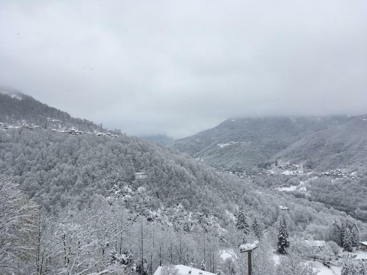 Gold Cave Relax Nel Bosco Holiday home